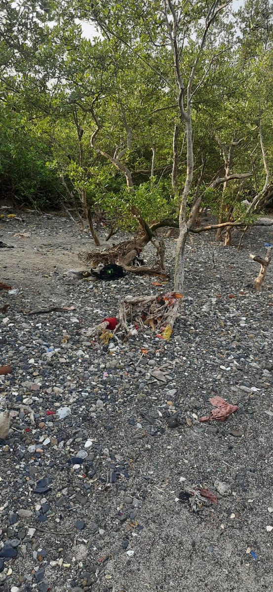 JacobsonLucas's tweet photo. Just the tip of the "Iceberg" of plastic pollution, the ocean hands to the beach on a DAILY BASIS! @cartercleanup #fridaysforfuture #plasticpolution #mangrovecleanupmumbai #theSolution #cartercleanup https://t.co/sKzHkPYD6F