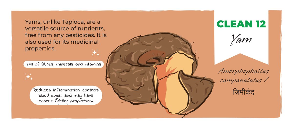 BhoomiKaEco's tweet photo. #dirtydozenclean12 : Yams, unlike Tapioca, are a versatile source of nutrients, free from any pesticides. It is also used for its medicinal properties. #SwitchToOrganicNow #TransformingFoodSystems #organicfarming
@switchasia @EU_in_India 
@WHH_India https://t.co/jNoBI5y3VX