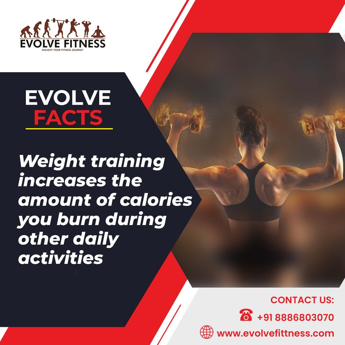 evolvefitnestpt's tweet photo. Weight training not only burns calories while you do it but also while you move throughout your normal day! 
𝐕𝐢𝐬𝐢𝐭 𝐔𝐬: https://t.co/yJpi0spTep
𝐁𝐨𝐨𝐤 𝐲𝐨𝐮𝐫 𝐦𝐞𝐦𝐛𝐞𝐫𝐬𝐡𝐢𝐩 𝐚𝐭:  8886803070

#evolvefitness #getfit #cardio #cycling #fitfam #fitlife #fitness https://t.co/7SgR7ppQuD