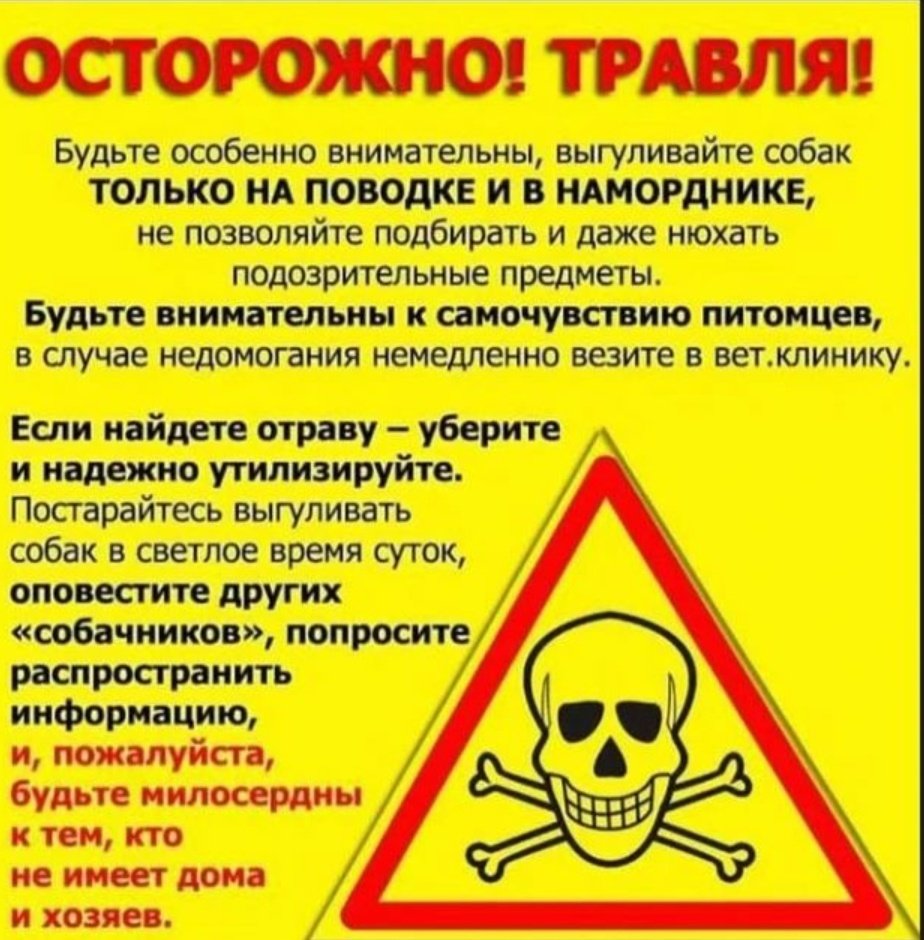 Мила Пим tweet media