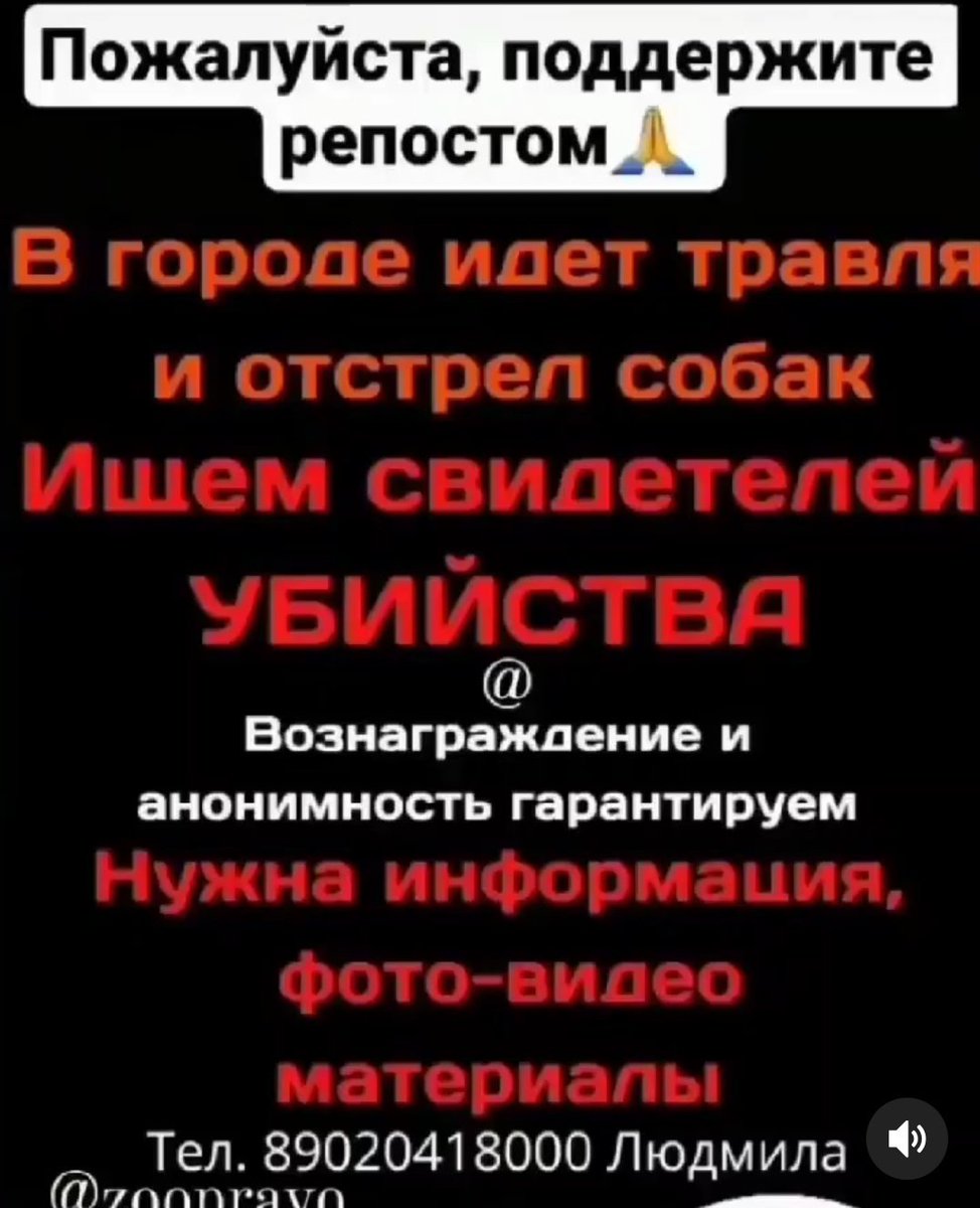 Мила Пим tweet media