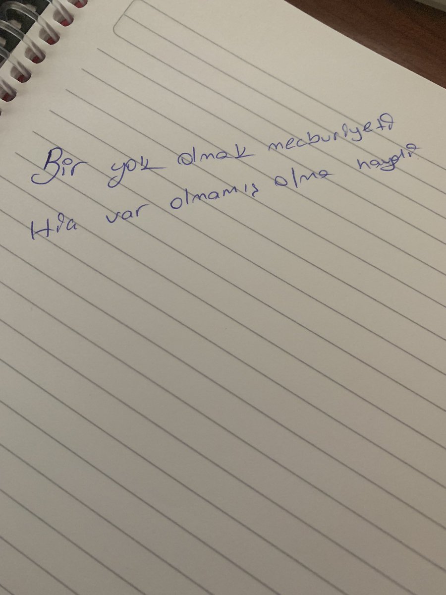 Şimdi dönülmez bi yoldayız,ölüm kaçınılmaz,yaşamak inanılmaz…