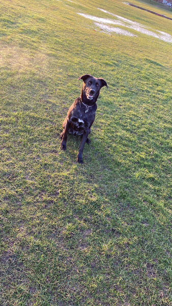 JamesDixonAFC's tweet photo. Buzzing after last night. Out walking the dog now before being picked up for a stag do weekend #messy #90sweekend https://t.co/vp8cPVrXjH