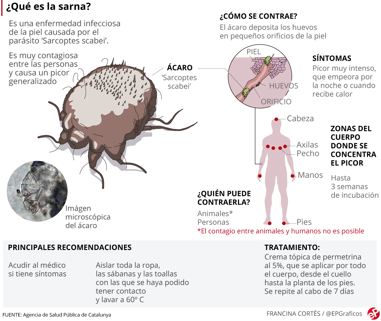 Los casos de sarna se multiplican en España: ¿Cómo evitar el contagio?