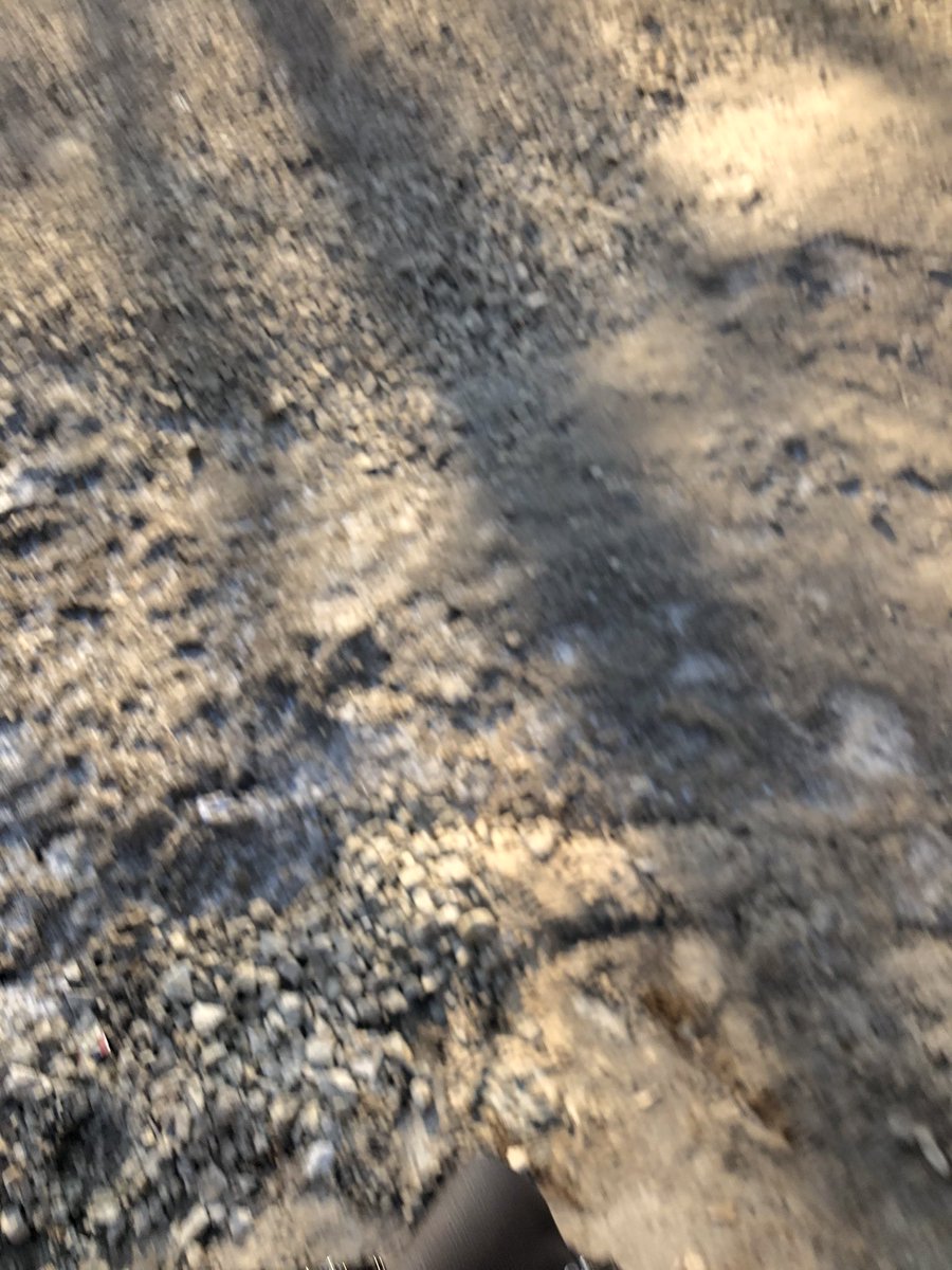 Варвара Плющ tweet media