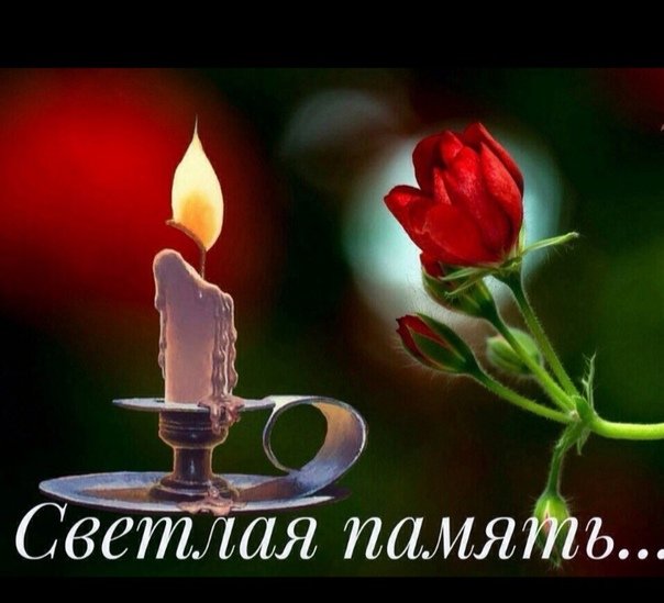 <a href="/zelva2013/">Алена Vолга. Ольгино</a>