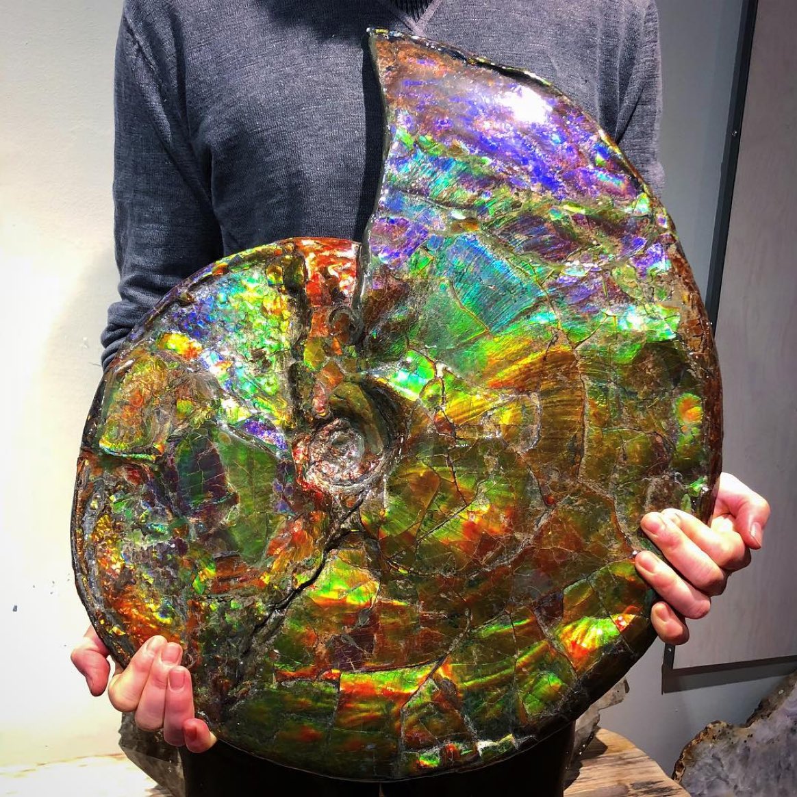 ApuntesCiencia's tweet photo. ¡#HolaCiencia! #Ammolita de Alberta, #Canada. Junto al ámbar y la perla, la ammolita, formada a partir de una concha de #amonite, es una de las tres gemas biogénicas • vía @GeologyTime #FotoCiencia geologicgallery #mineral 🌈 https://t.co/hD6TMpaVOv