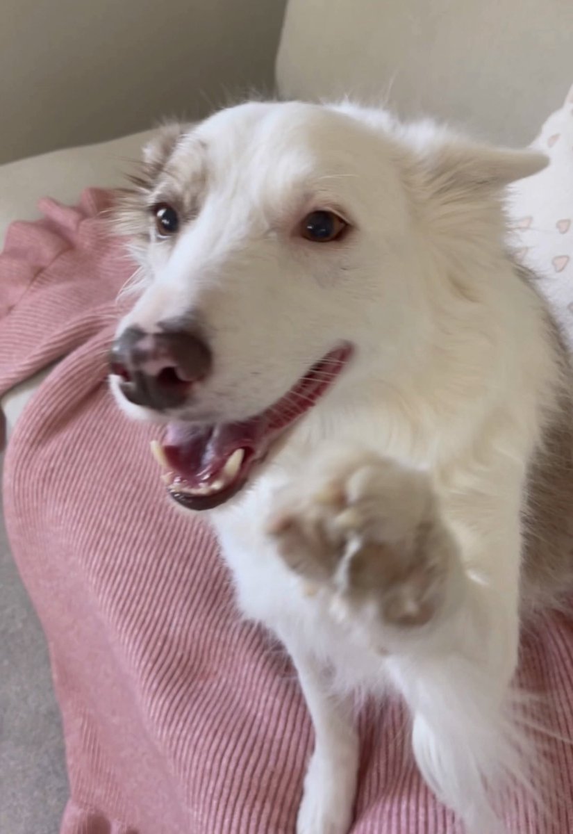 Willow and Emma tweet media