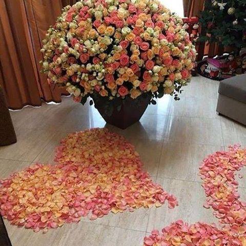 <a href="/celikindred/">Celikindred</a> <a href="/HamdanMohammed/">Hamdan bin Mohammed</a> Удачи Вам во всем!!!