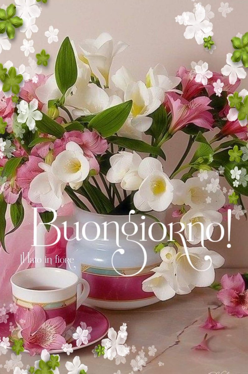 Нежные утренние цветы. Утренние цветы. Утренние цветы. Цветы с пожеланиями. Цветы картинки самые красивые утром с добрым.