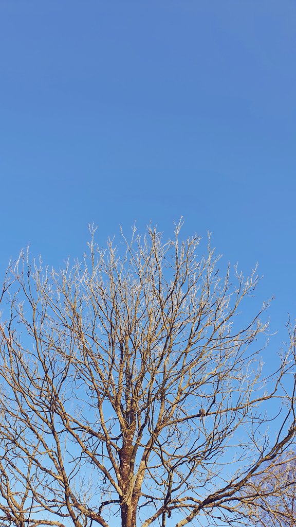 billie_co_devon's tweet photo. Omg look! Blue skies 😍 https://t.co/DzN1IsRbkV