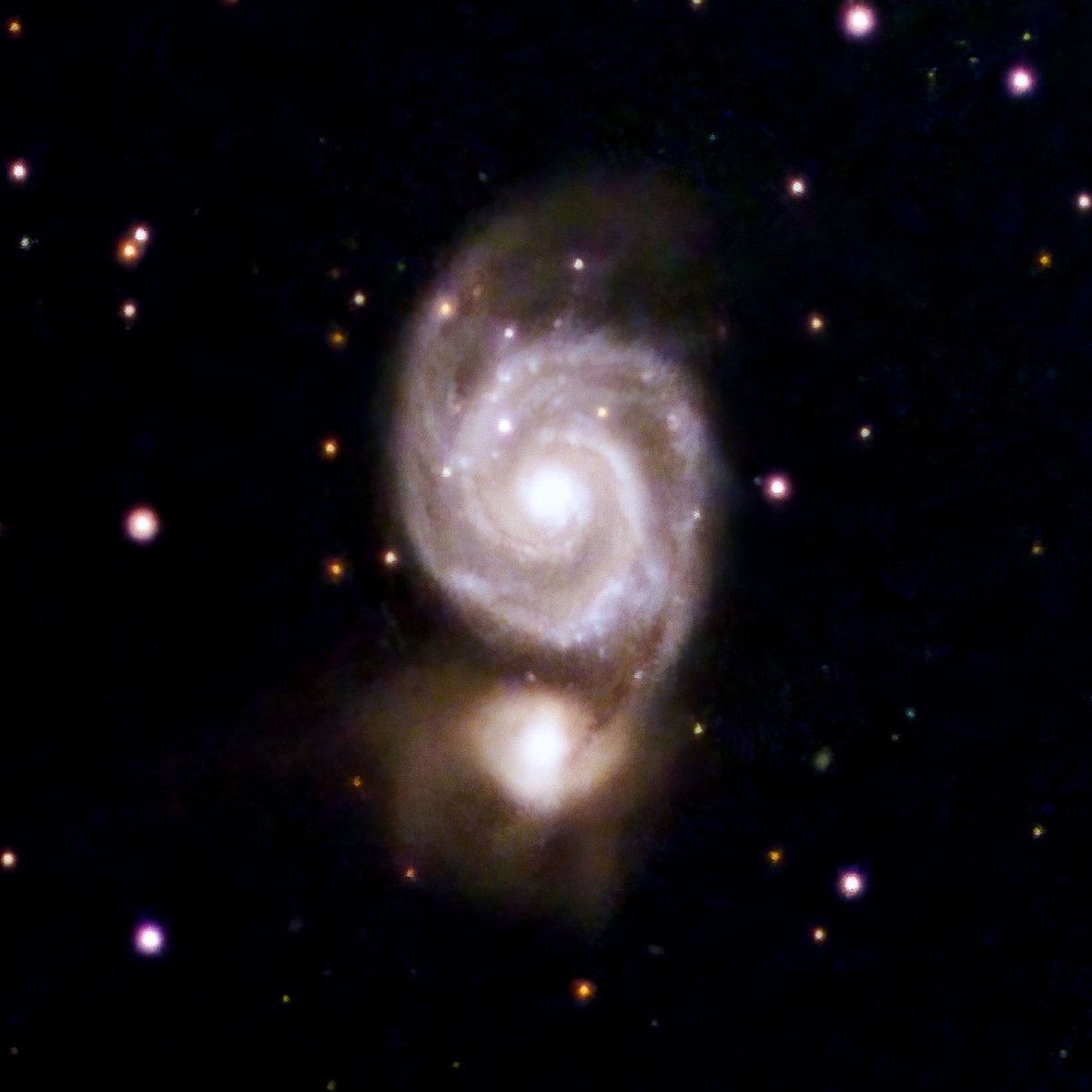 MagicBulletTV's tweet photo. M51 - The Whirlpool Galaxy, 23 million light years from my back garden in Reading.  4hrs 50min exposure (120s subs).  Skywatcher 72ED and ASI533MC camera cooled to -10C.  @bbcskyatnight @skyatnightmag @ProfBrianCox #Astrophotography https://t.co/I7cRLrnL8t