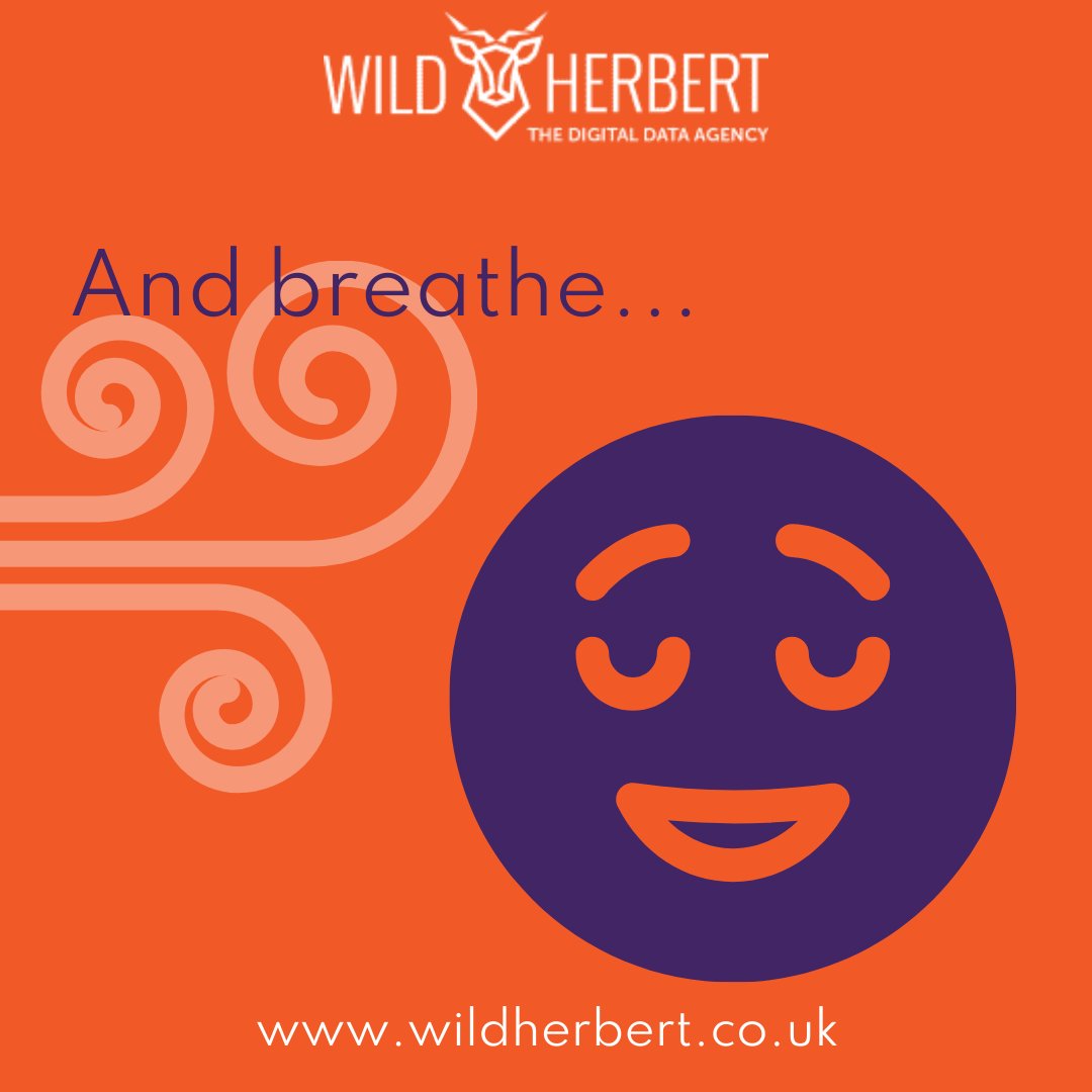 Your best asset is that lovely big brain of yours, so here's our tip of the day : Take 10 minutes for yourself today in a quiet room, focus on your breathing - try and clear your mind. You can thank us later. Everything is easier when you're feeling zen.

wildherbert.co.uk