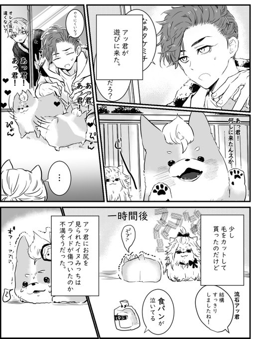 rkgk 同棲してるマイ武さん家の🐶
綺麗にしてもらった。 