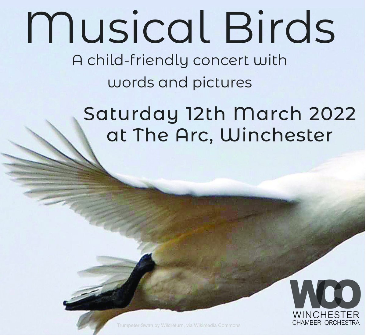 CraigIawton's tweet photo. Excited for a weekend of family concerts in #Winchester  &amp; #Romsey next month. An excellent opportunity to have your children experience a live #Orchestra! 🎟 for both on sale now! #LiveMusic #FamilyConcert #musicalbirds #Paddington @AbbeyURCRomsey @ArcWinchester @WinchChambOrch https://t.co/kms4hSpSqM