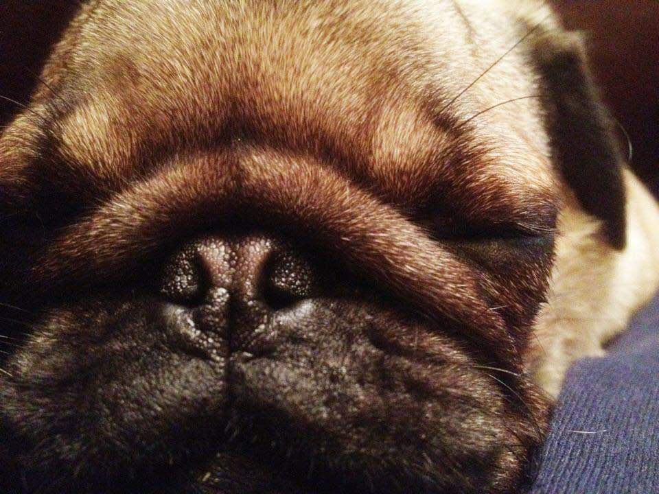 PaddlerDeben's tweet photo. @BraydenCreation Bunty❤️ https://t.co/HtHHQRhSoY