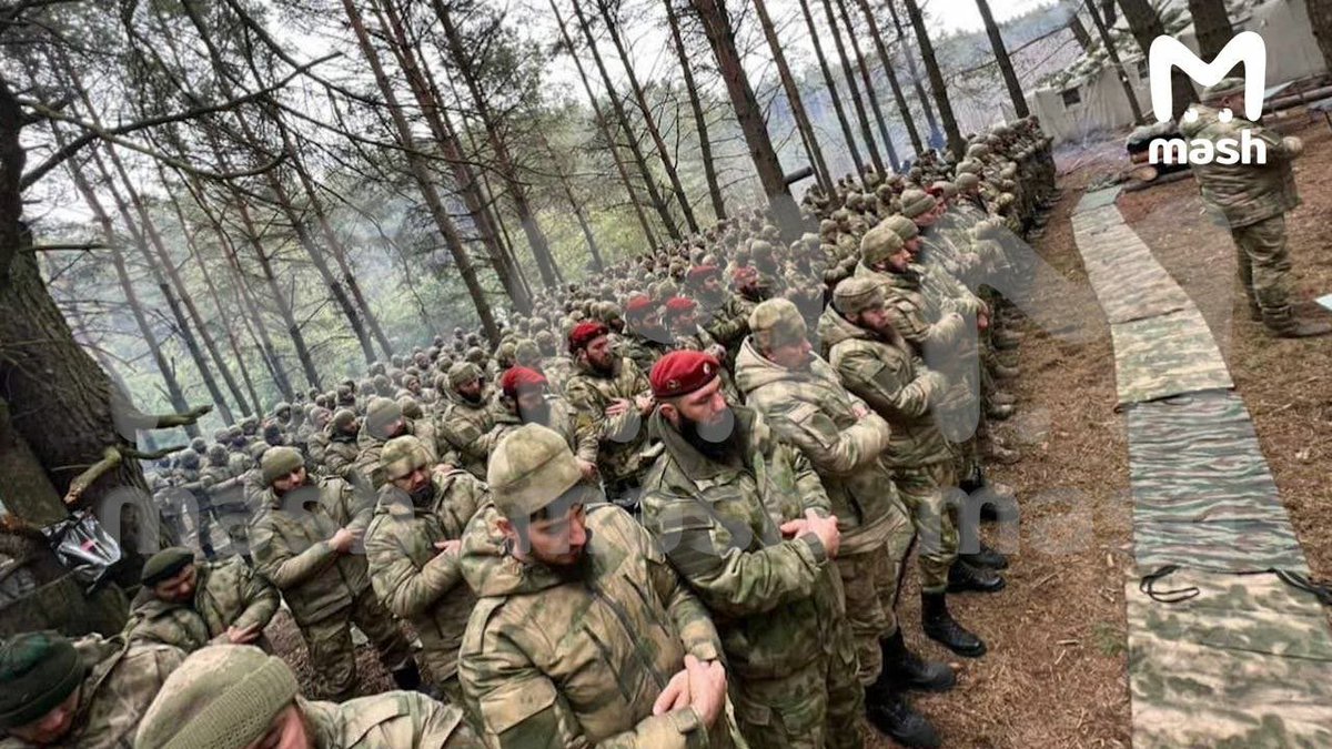 NavidFarda's tweet image. پوتین هم مدافعین حرم داره، مال چچن. 

مسلمونا بهترین نوع گوشت جلوی توپ هستند، مخصوصا برای عیاشهایی چون پوتین و اسد.