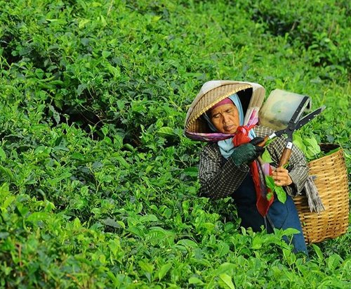 As certified practitioners in social value and sustainability, we work to help businesses align with its greater intentions and measurement of social impact and value. From #impactmeasurement and #SROI,  Check out our services! paxtecumglobal.org/our-services-s…