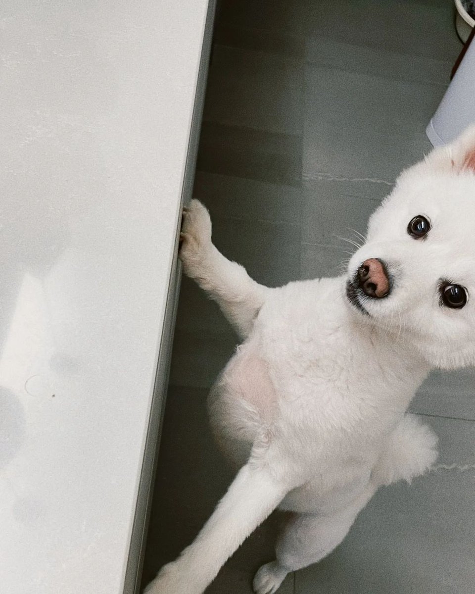 purpleloveplus's tweet photo. [INSTAGRAM]📝

¡Actualización de Namjoon en Instagram!

"Esta sucediendo".

Link del post: (https://t.co/jnatd5aNfT)

©ZER0XBLACK | @BTS_twt #BTS https://t.co/IihHBYwN1H
