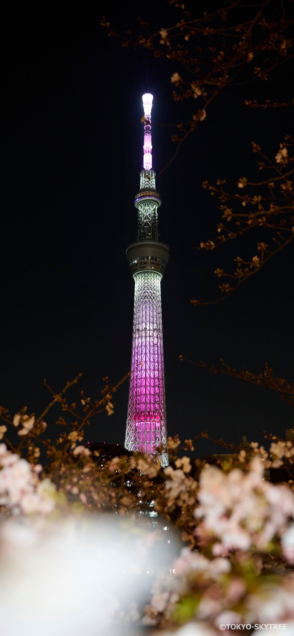 スカイツリー Tokyo Skytree Skytreeofficial Twitter