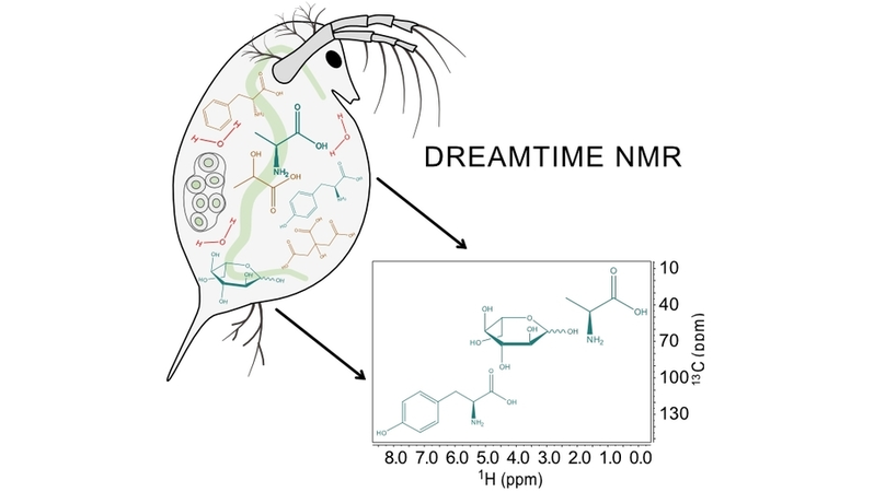 angew_chem's tweet photo. DREAMTIME #NMRspectroscopy: Targeted Multi-Compound Selection with Improved Detection Limits (Simpson) @utsc #nmrchat @UBC @JenneAmy @bruker https://t.co/eV3CuAARj5 https://t.co/M4eGi7yViF