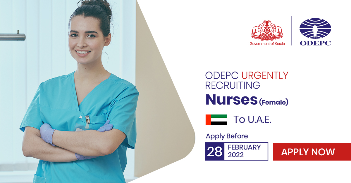 A famous private Healthcare Group in the UAE recruits BSc NURSES with 2 Years of Experience without break for immediate recruitment in their covid testing centers, Diagnostic Centers, and Home Care.

Register Now: odepc.co.in/female-nurse-u…

#nursejobs #uaejobs #ODEPC