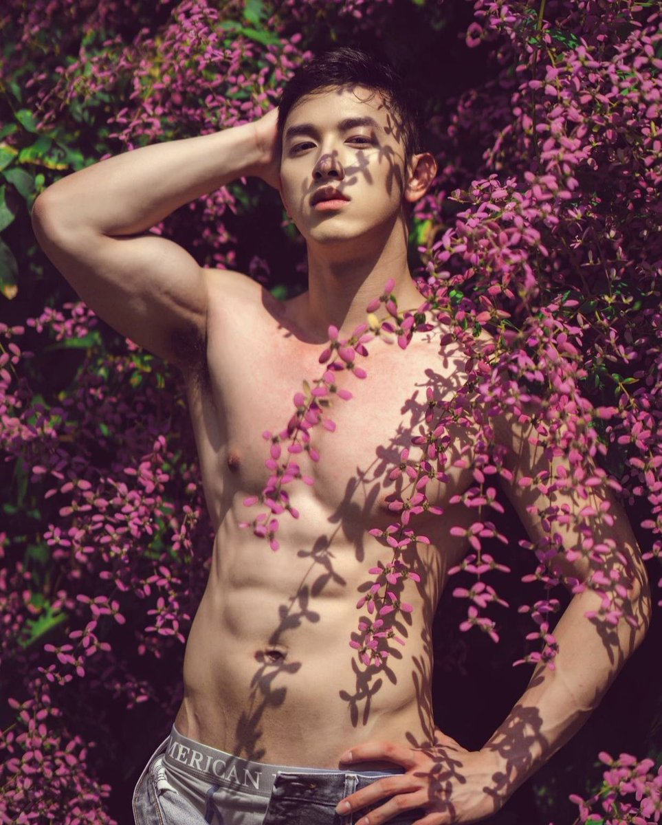 FOREST ALBUM 🏳️‍🌈 tweet media