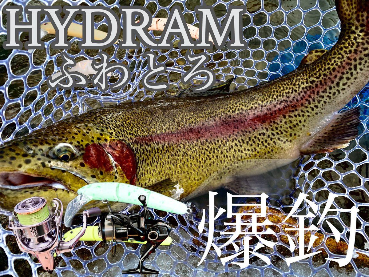 tsurizanmai8383's tweet photo. 楽しくて最高の癒しでした❤️
#HYDRAM #ふわとろ #エリアトラウト #トラウト #管理釣り場 #VALKEIN #shimano #エリアトラウト好きな人と繋がりたい https://t.co/jYshRD834F