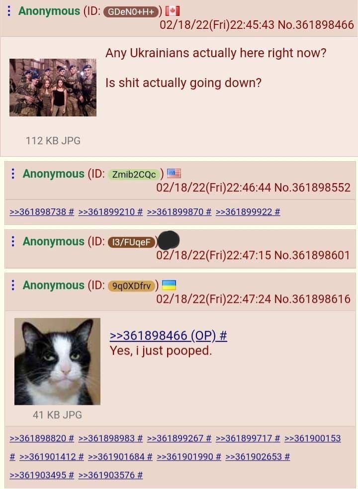 FMbfHN0XsAASALY?format=jpg&name=medium