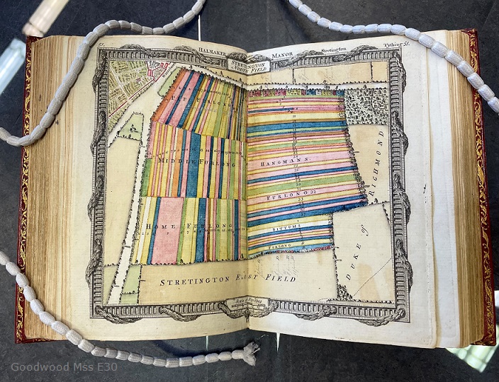 WestSussexRO's tweet image. 😍 Can a book make you swoon? 👀

It's the 'Terrier of the Manors of Boxgrove and Halnaker in the County of Sussex' and part of the @Goodwood_Estate collection.

It dates from 1781 and lists the freeholders &amp;amp; copyholders in these manors. It's useful for researching old houses.