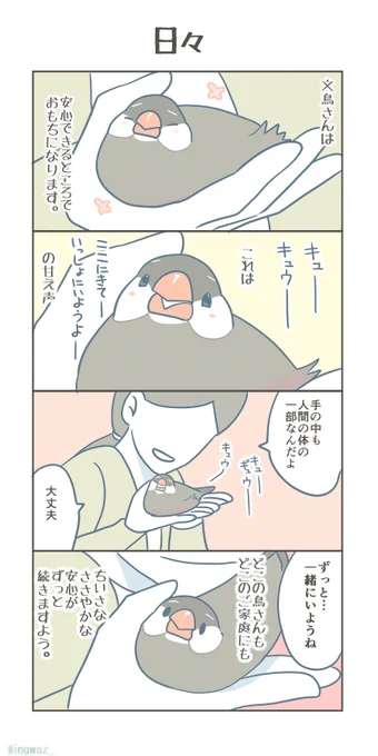 #Buncho #javasparrow #文鳥 