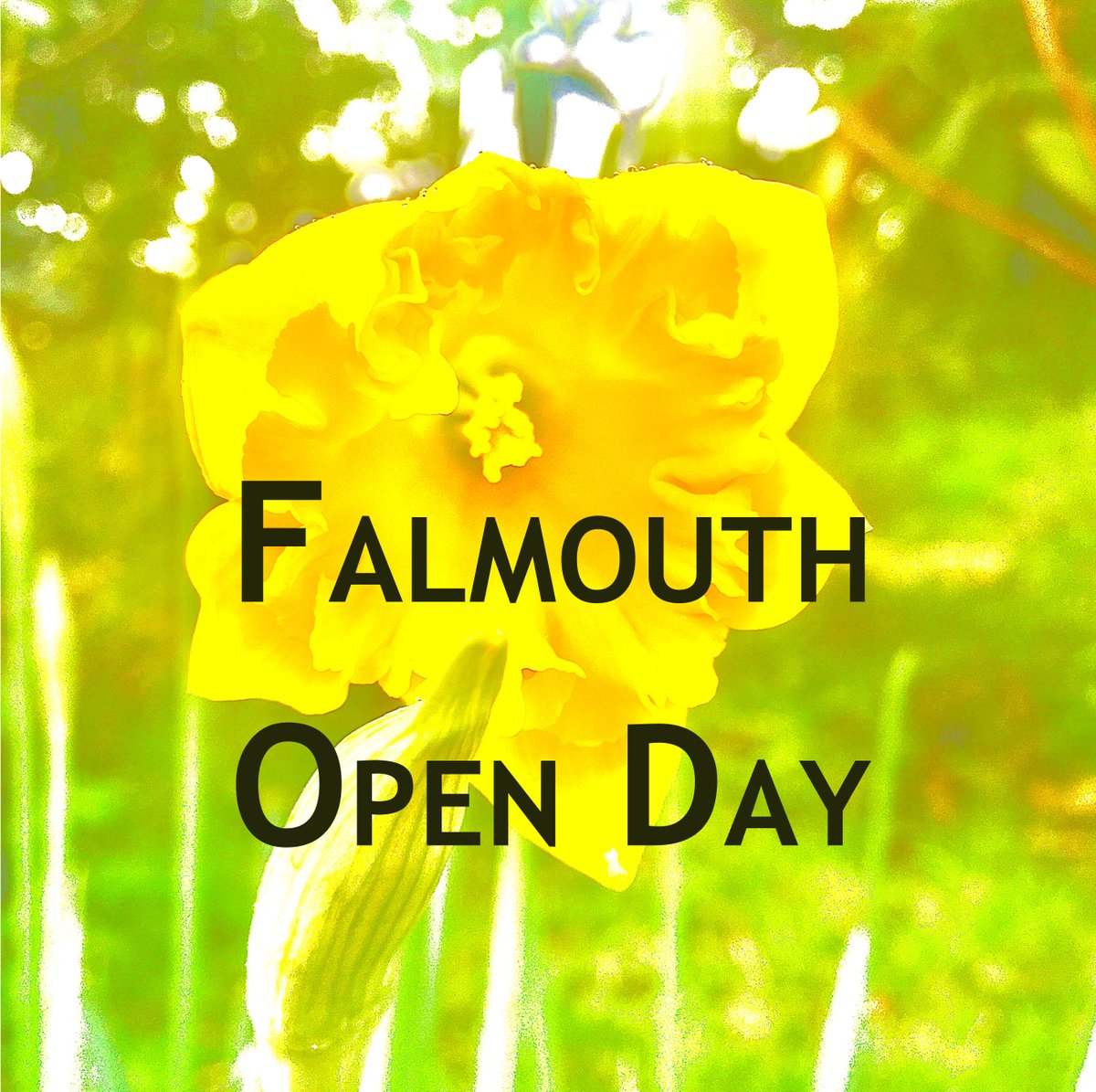 SoFTFalmouth's tweet photo. ...and with the opening of the spring flowers, so comes our open days! It is always a pleasure to see so many new faces getting the tour around our fine establishment!
#openday #filmatfalmouth #falmouthuni #wearestory #story https://t.co/CzMtkluI7J