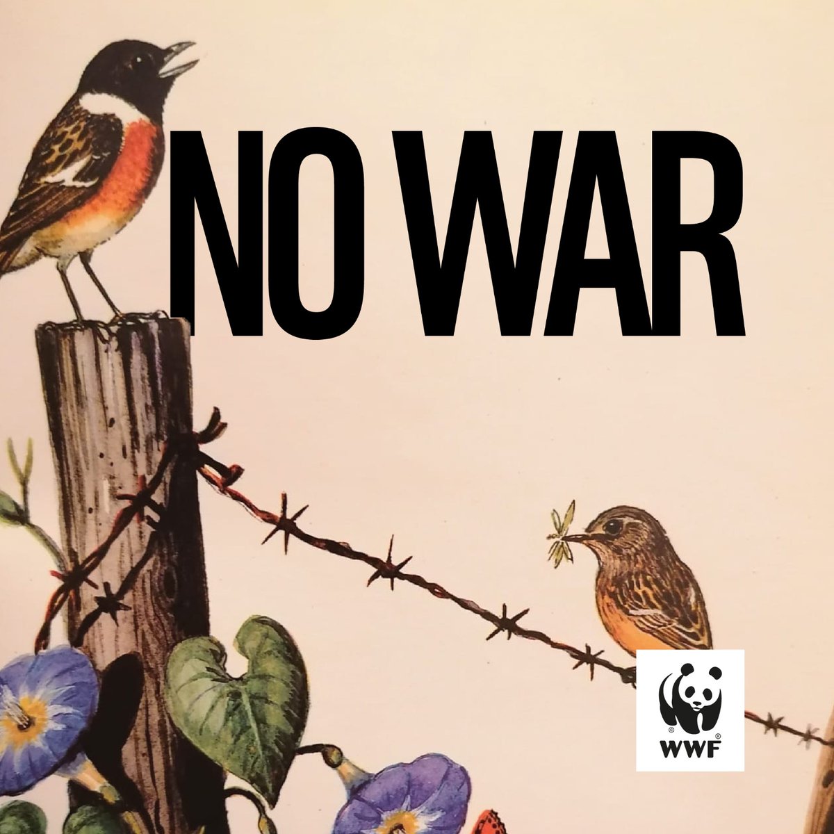 #NoWar 
#StopWar 
#RussiaUkraineConflict