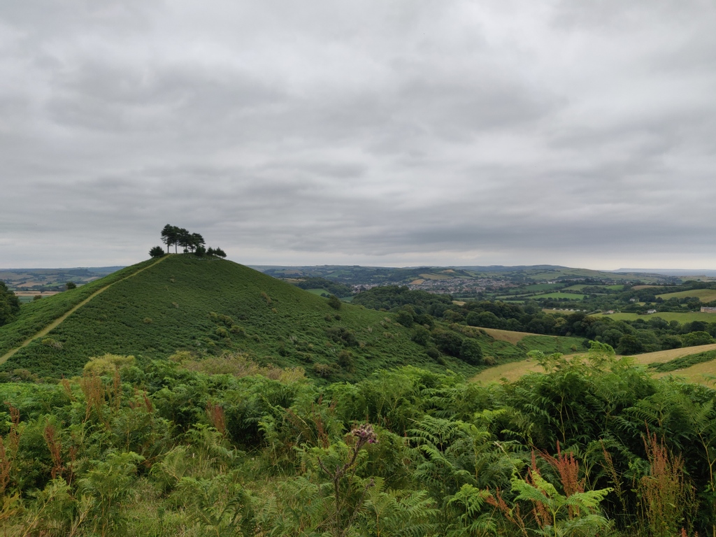 Weekend incoming! Whatever your plans this weekend, show your love for Dorset by taking your rubbish home with you! 😎💚🚮⁠

#FridayFeeling #WeekendIncoming #LoveDorset #LoveWhereYouLive #LoveWhereYouVisit