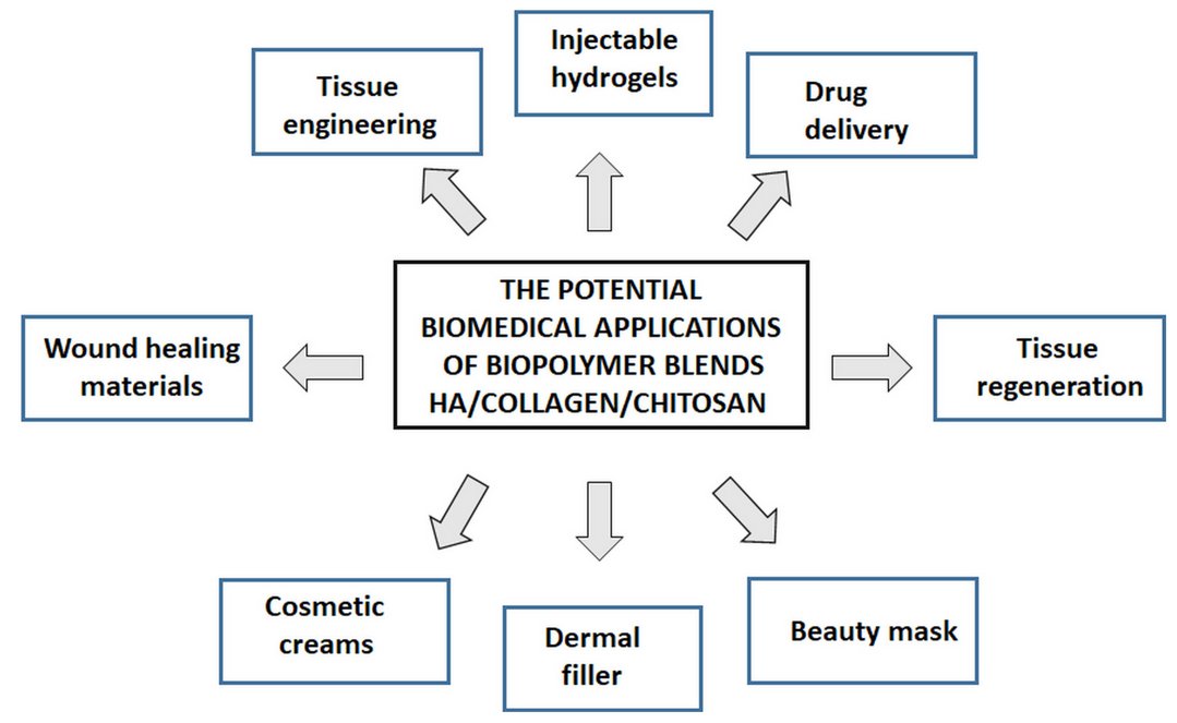 Molecules_MDPI's tweet photo. #HighlyCitedPaper #HighlyAccessedPaper
Hyaluronic Acid as a Component of Natural Polymer Blends for Biomedical Applications: A Review
By: Alina Sionkowska, et al.
👉https://t.co/rXanzMrlaZ
📌#hyaluronicacid #polymerblends #biopolymers #biomaterials #chitosan #collagen https://t.co/U5bnJy7yJC