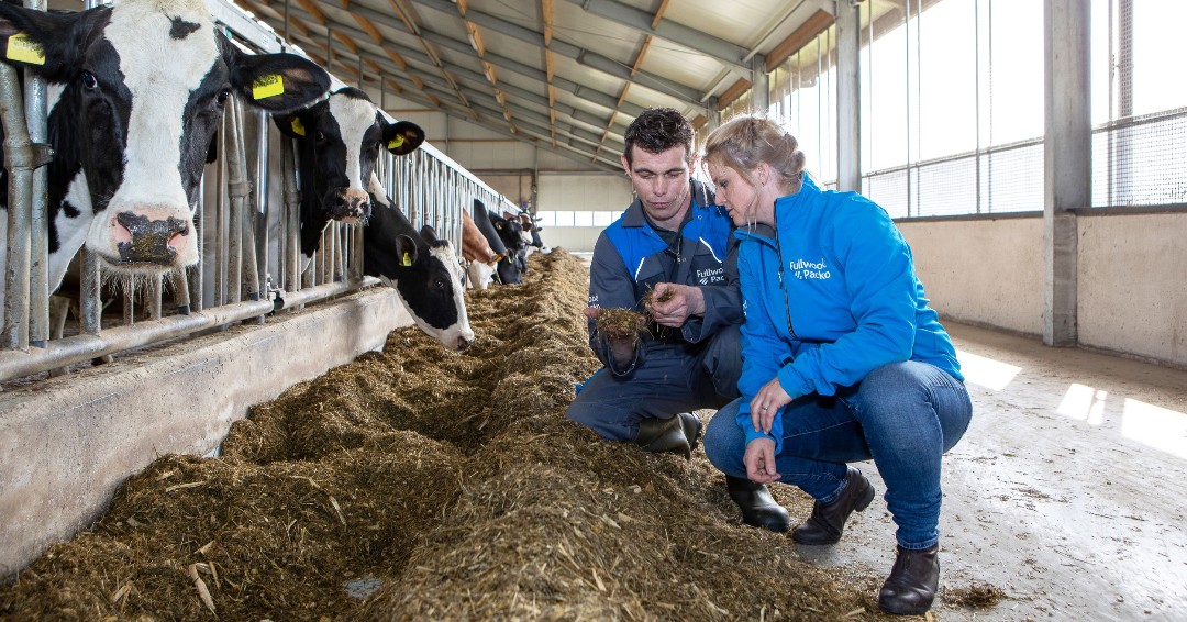 Que vous apporte M²erlin ? 
Une excellente santé des vaches, un excellent équilibre travail/vie personnelle et d’excellents résultats de traite #milkingwithm2erlin (traire avec M²erlin)
bit.ly/3BmhEFG