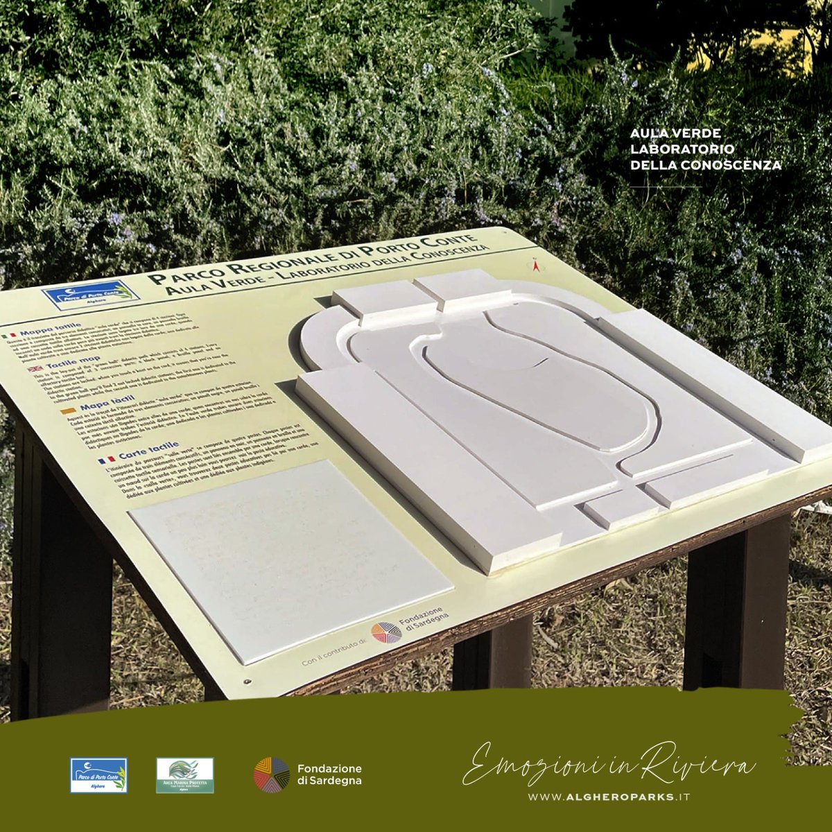 ParcoPortoConte's tweet photo. 🌿🌿 L’Aula Verde del #ParcodiPortoConte: un grande Giardino Botanico ospitato nella sede del Parco, a #CasaGioiosa!
✅ Stazioni didattiche, realizzate affinché siano fruibili in totale sicurezza anche dai visitatori diversamente abili o con difficoltà di deambulazione. https://t.co/ZHcvyFWCoq