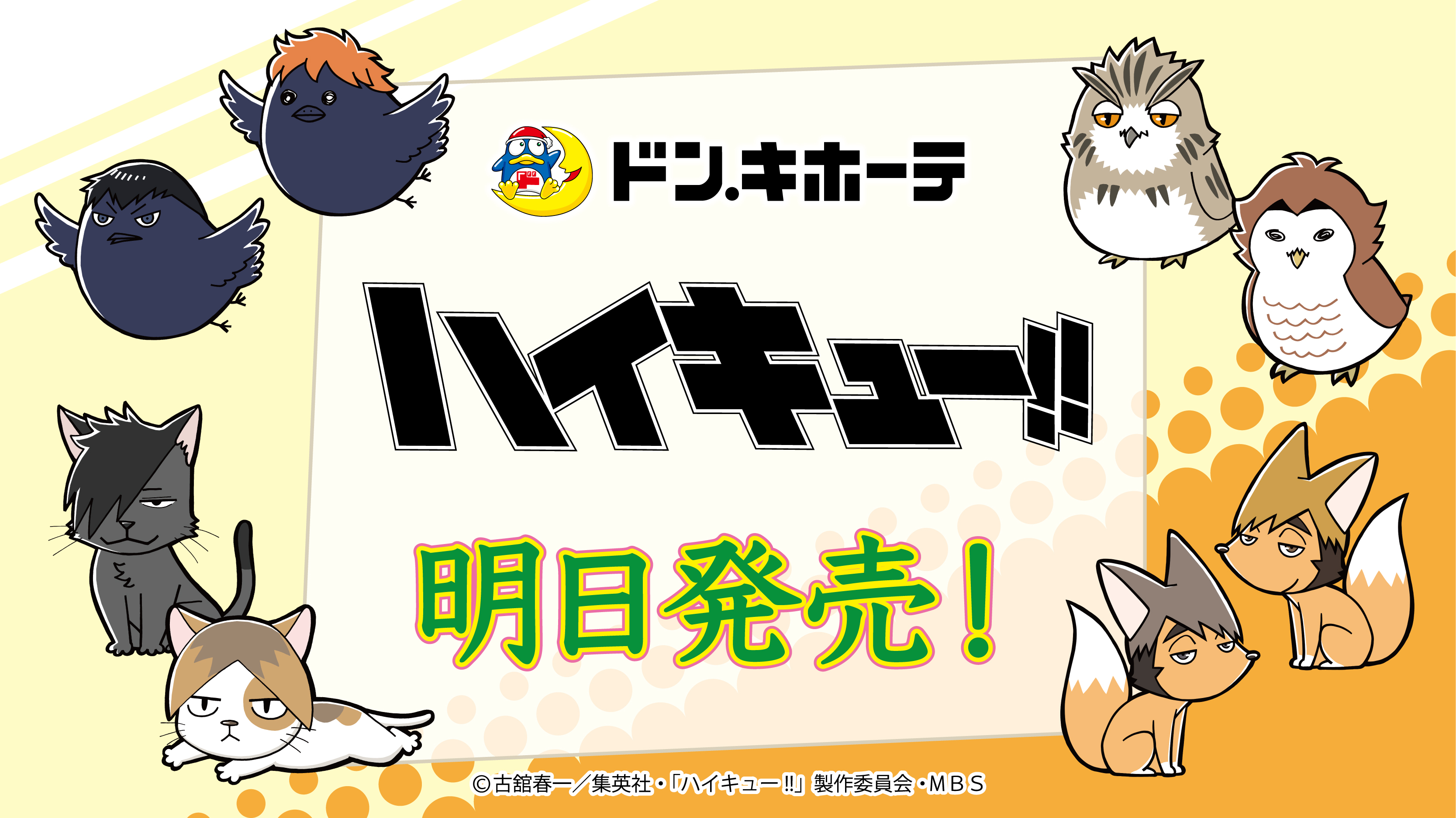 驚安の殿堂 ドン・キホーテ🐧 on X: 