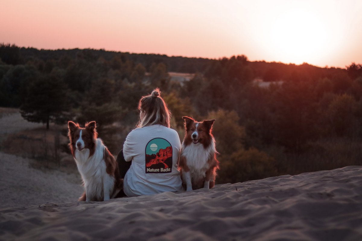 henrieta tweet media