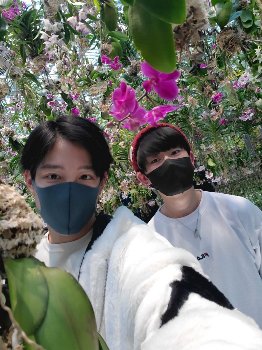 やくも tweet media