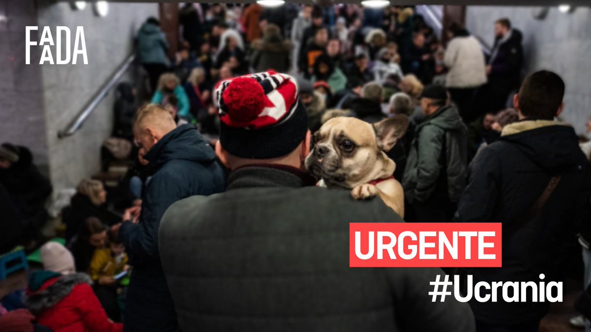🚨#URGENTE: ¡Máxima difusión!🚨

La entidad Casa lui Patrocle - Animal Rescue - Rescate Animal de Suceava ha anunciado oficialmente su apoyo y ayuda a las familias ucranianas que entran en #Rumanía por el paso fronterizo de Siret acompañadas de #animales SIN IMPORTAR LA ESPECIE🙏