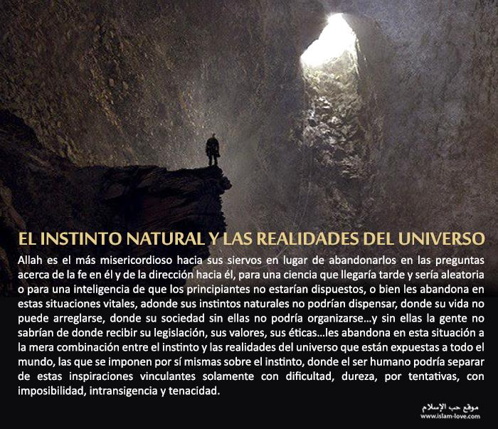 amorislam1's tweet photo. El #instinto natural y las #realidades del #universo https://t.co/9UxjXKKwdw
