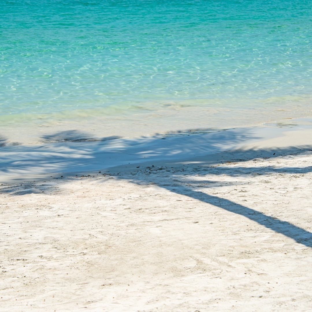 ハワイ挙式 Twitter Search Twitter ハワイ挙式 Twitter Search Twitter