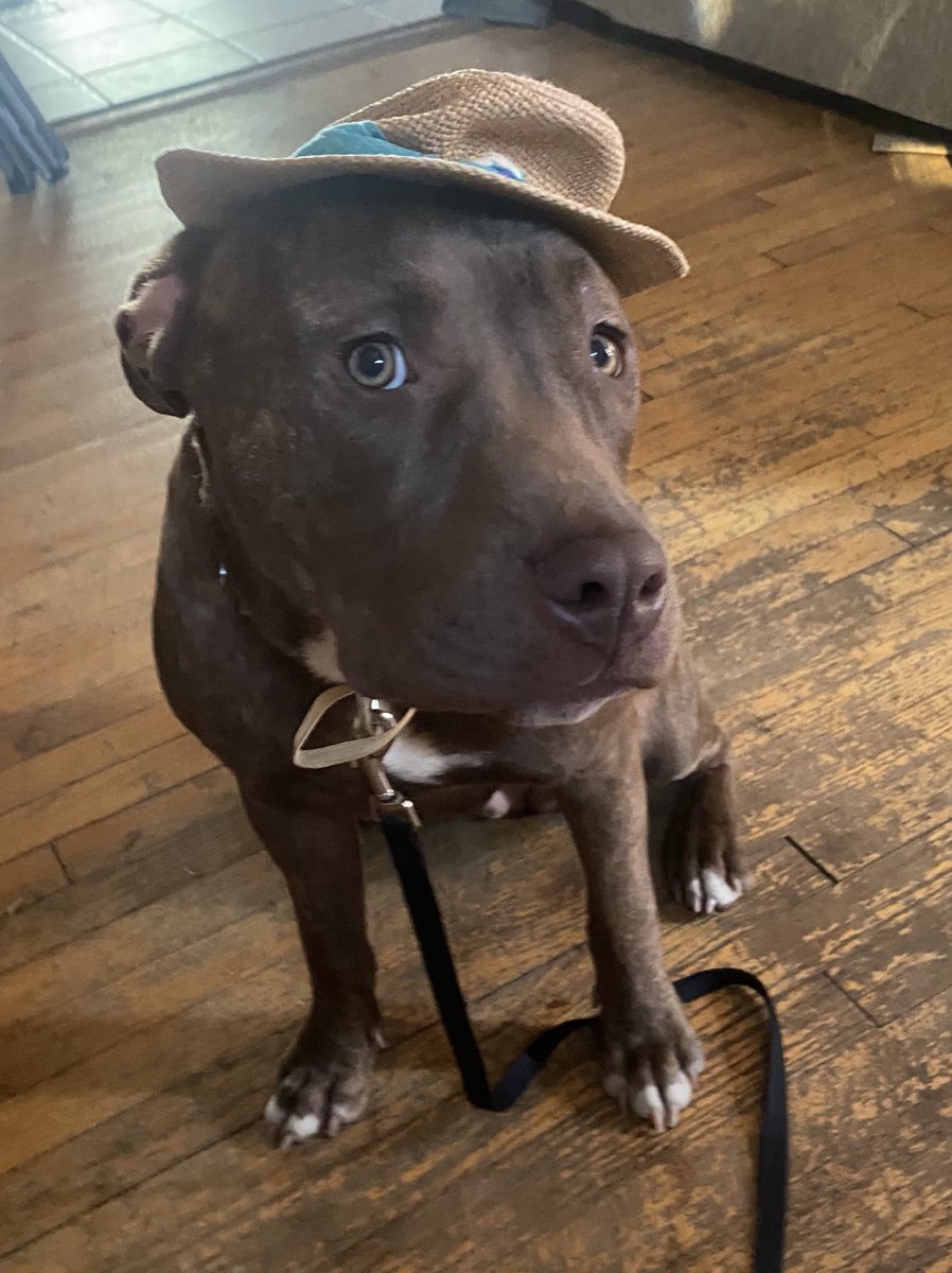 “Alexa, play Classic Man by Jidenna”