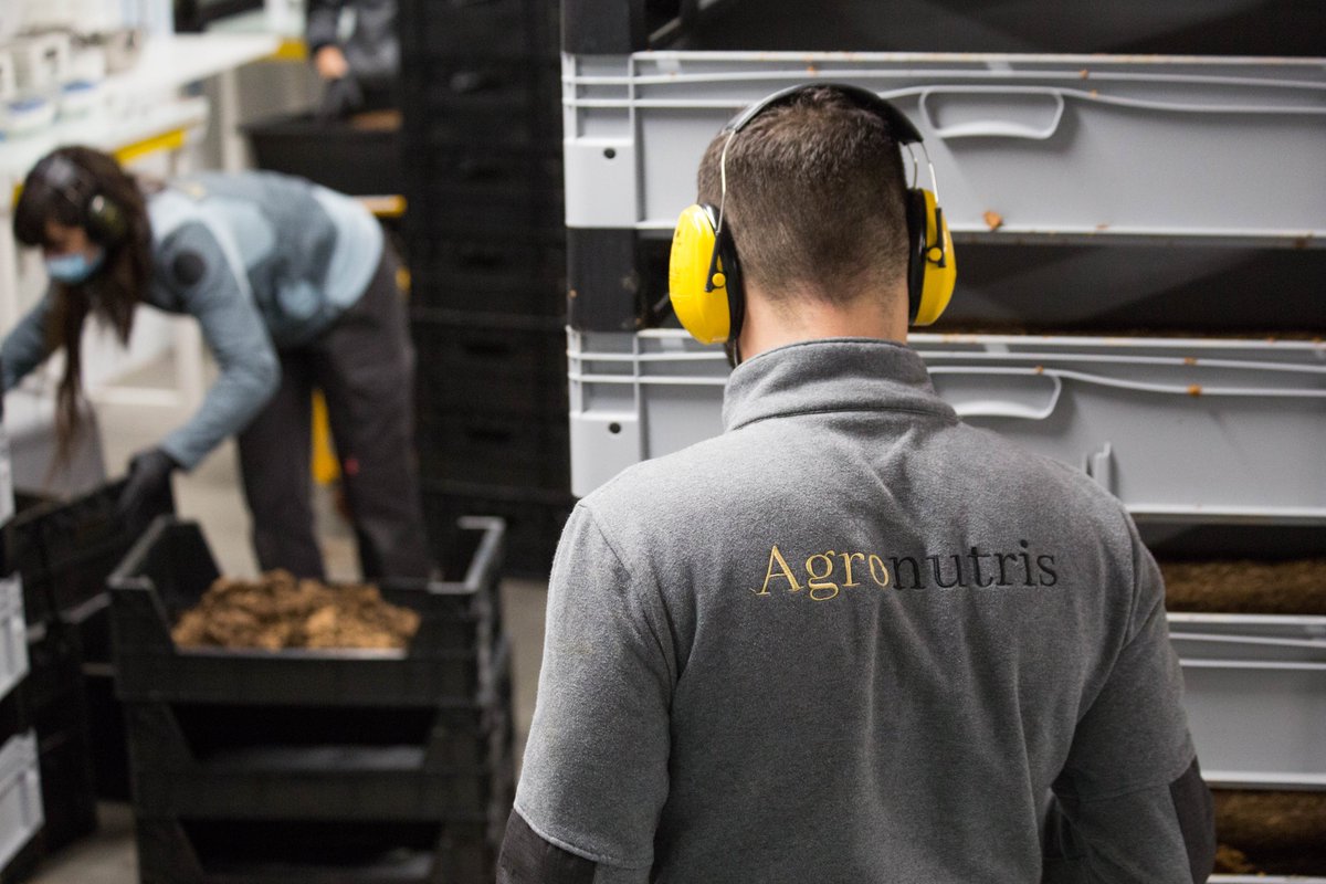 La société 🇫🇷 <a href="/agronutris/">Agronutris</a> spécialisée dans l'élevage et la transformation d'insectes en protéines pour l'alimentation animale ouvre son usine à <a href="/VILLEdeRETHEL/">Ville de RETHEL</a> dans les <a href="/ardennescd08/">Ardennes CD08</a> !
<a href="/agronutris/">Agronutris</a> recrute #AvecPôleEmploi consultez vite les infos 👉plmpl.fr/c/UTA5G