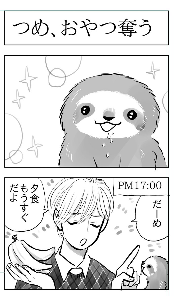 『夜くん・沙羅ちゃん・つめじろう』

ナマケモノの赤ちゃん、奪う 