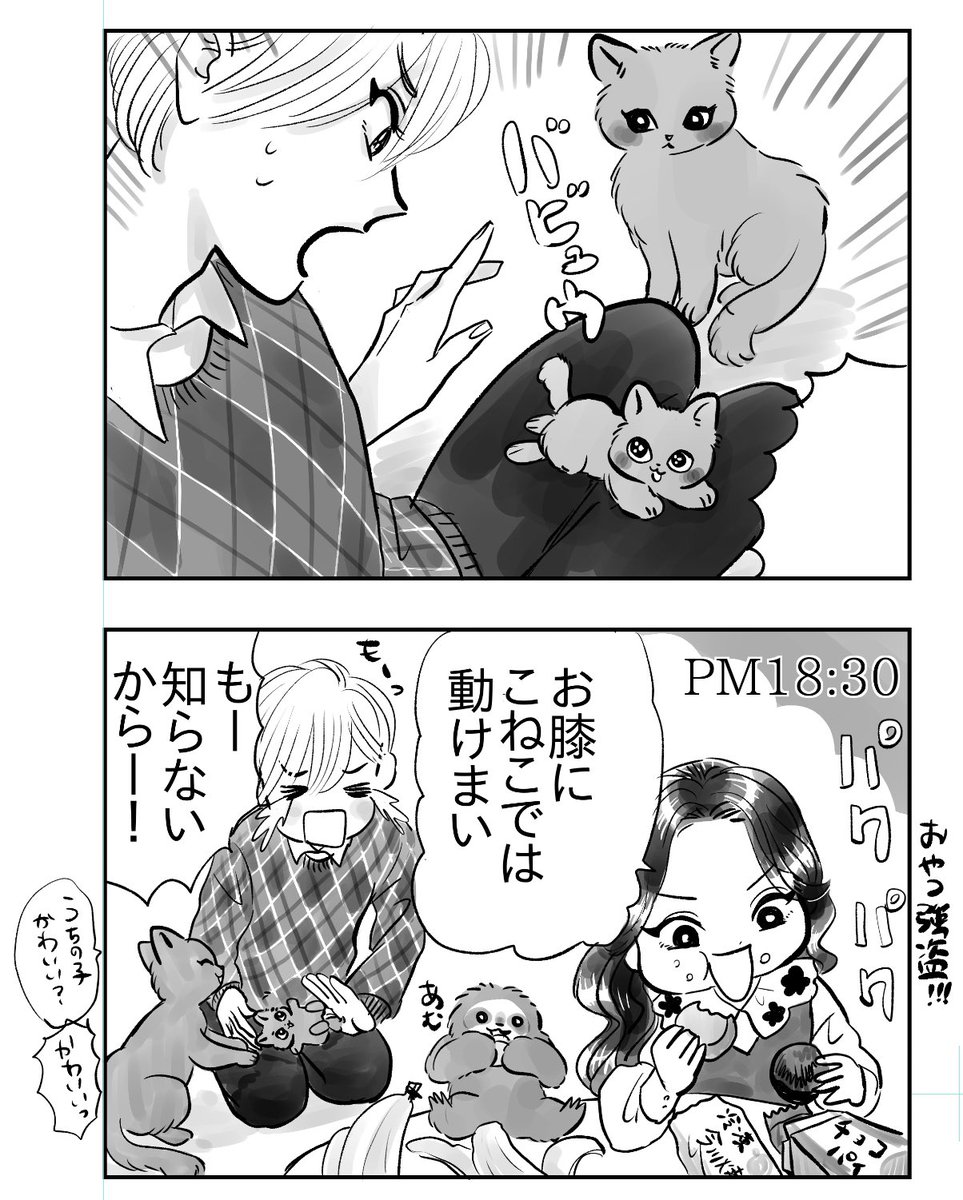 『夜くん・沙羅ちゃん・つめじろう』

ナマケモノの赤ちゃん、奪う 