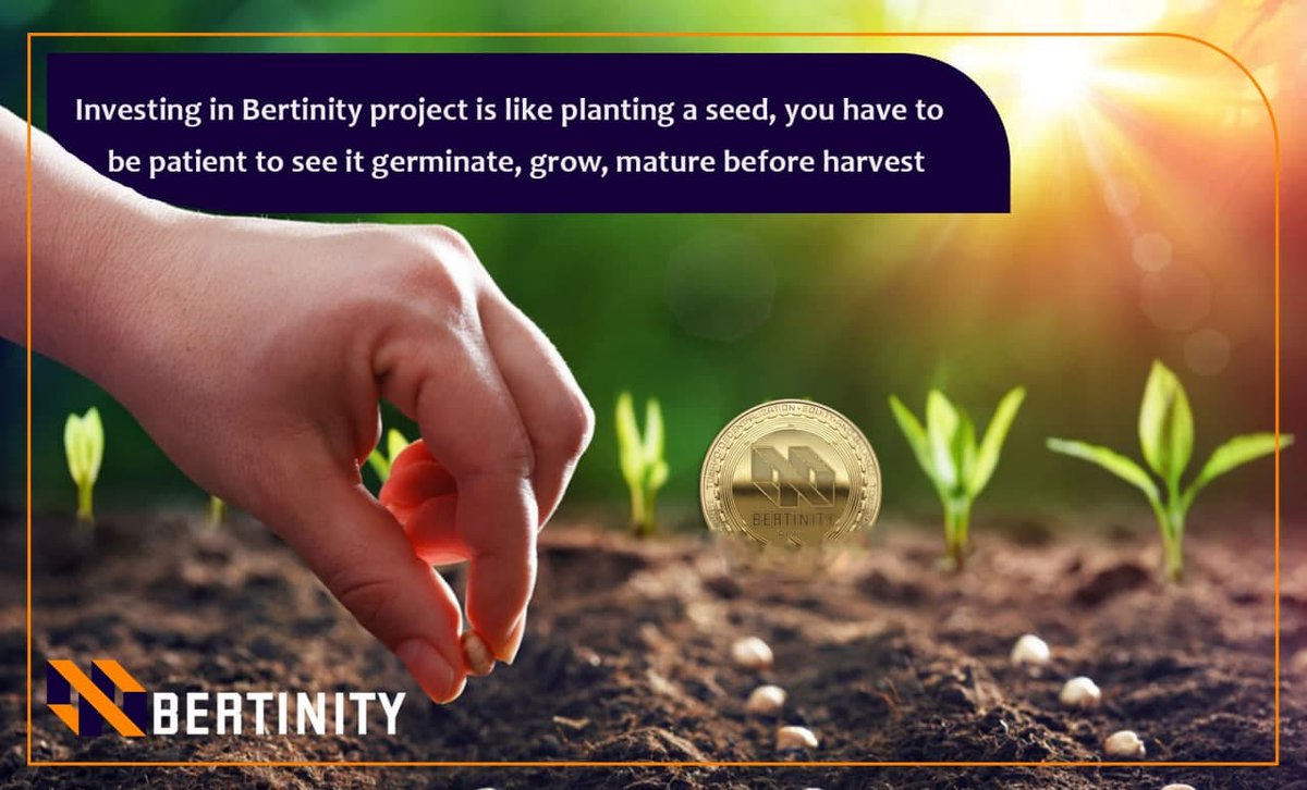 Bertinity tweet media