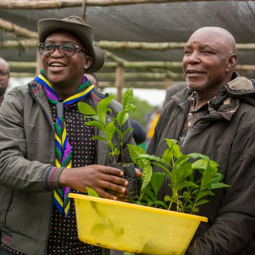 coffeeboardtz's tweet photo. Deputy Minister of Agriculture Hon. Anthony Mavunde officiating the distribution of Three Million coffee seedlings to coffee farmers in Kagera region, a strategy cordinated by Tanzania Coffee Board to increase coffee production.
@tzagriculture @AnthonyMavunde https://t.co/sSxyjMRvGw