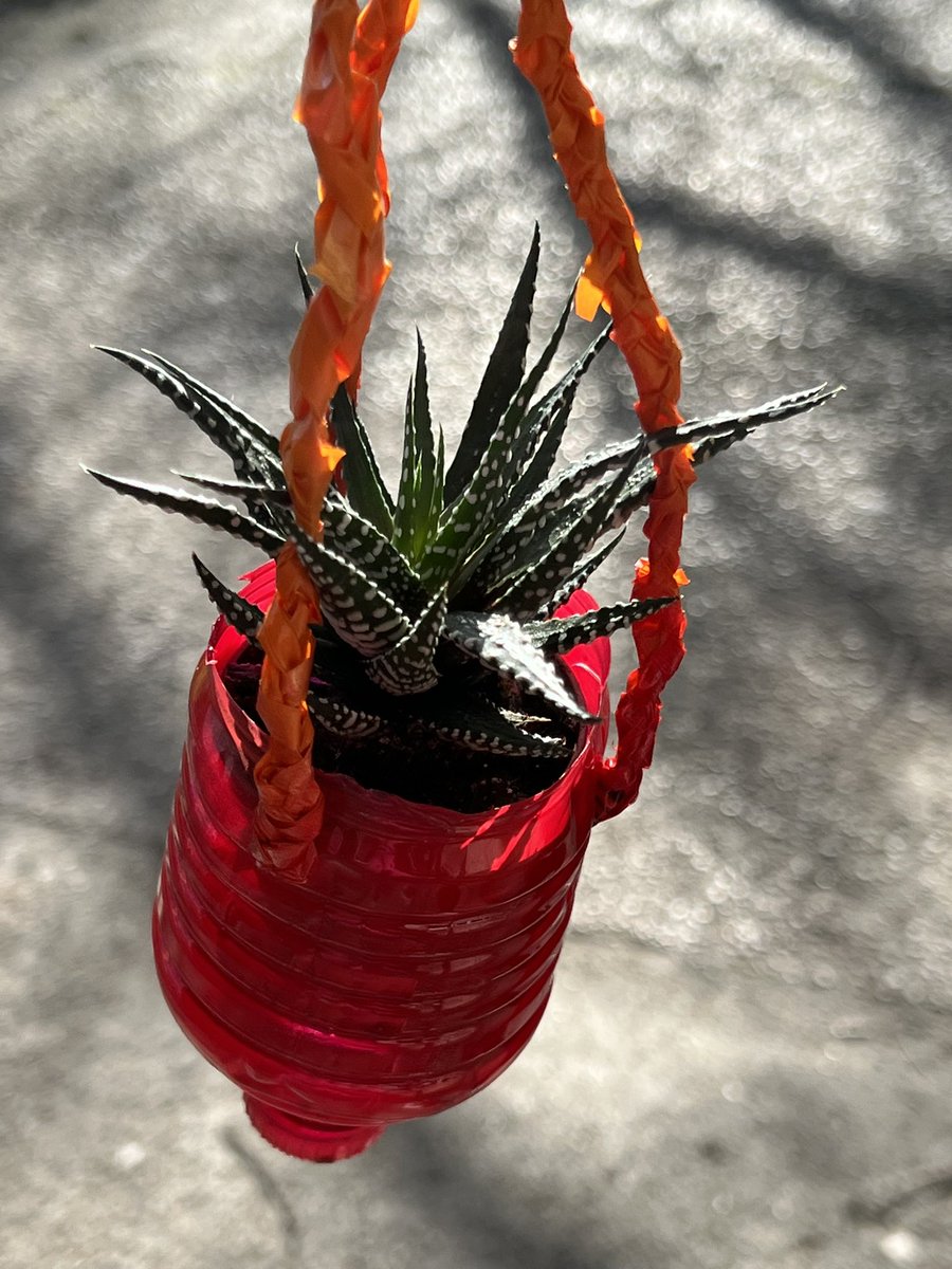 stemhsg's tweet image. Adrianna 7 A showing her skills of thinking out of the box with her plant holder design! Wow @stemhsg @HornseySchool #